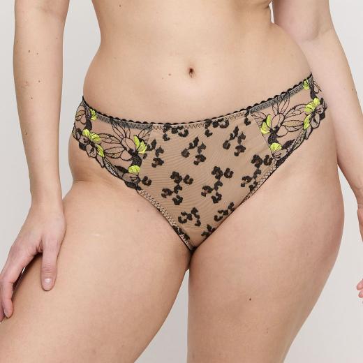 PrimaDonna Manali rio briefs, color wild bloom