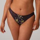 PrimaDonna Malba rio briefs, color amethyst